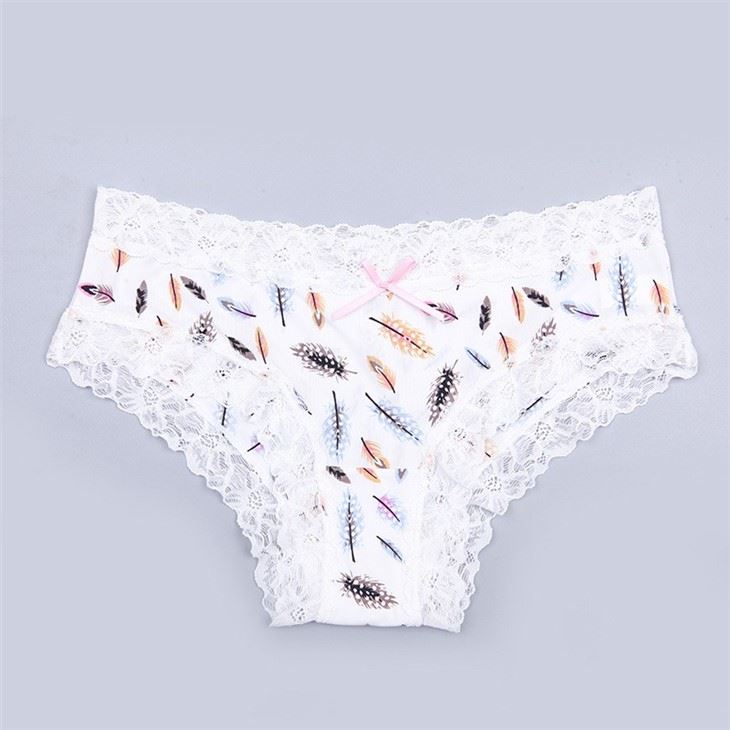 Fashion Style Nylon Lace Floral Printed Iced Silk Girl Brief Sexy Women Briefs Underwear Panty Underpants Ladies Women's Panties